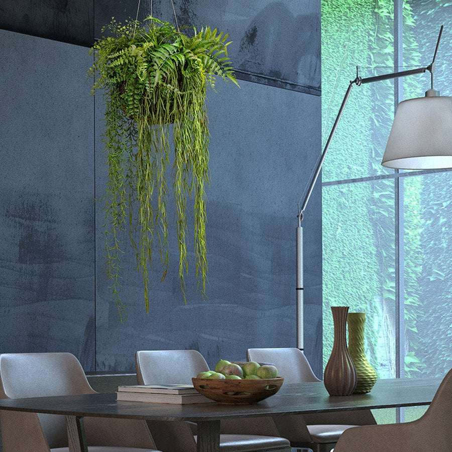 Függeszthető kialakítású, 40 cm átmérőjű mohalabdás páfrány mix műnövény kompozíció.