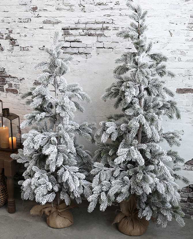 Két darab, loft stílusú térben álló, eltérő magasságú havas dekor fenyőfa.