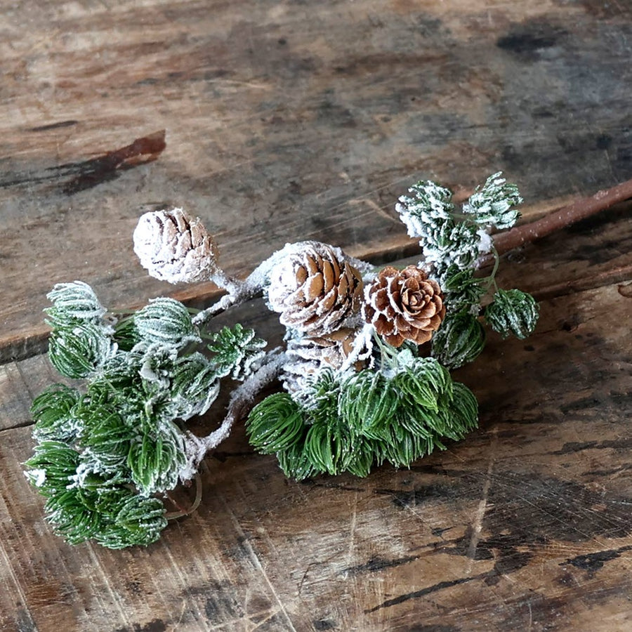 Havas cédrus fenyő ág műnövény.