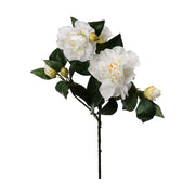 Krém színű mű kamélia.