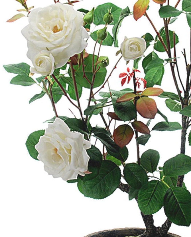 Prémium kategóriás, nagy méretű élethű rózsabokor vintage kaspóban