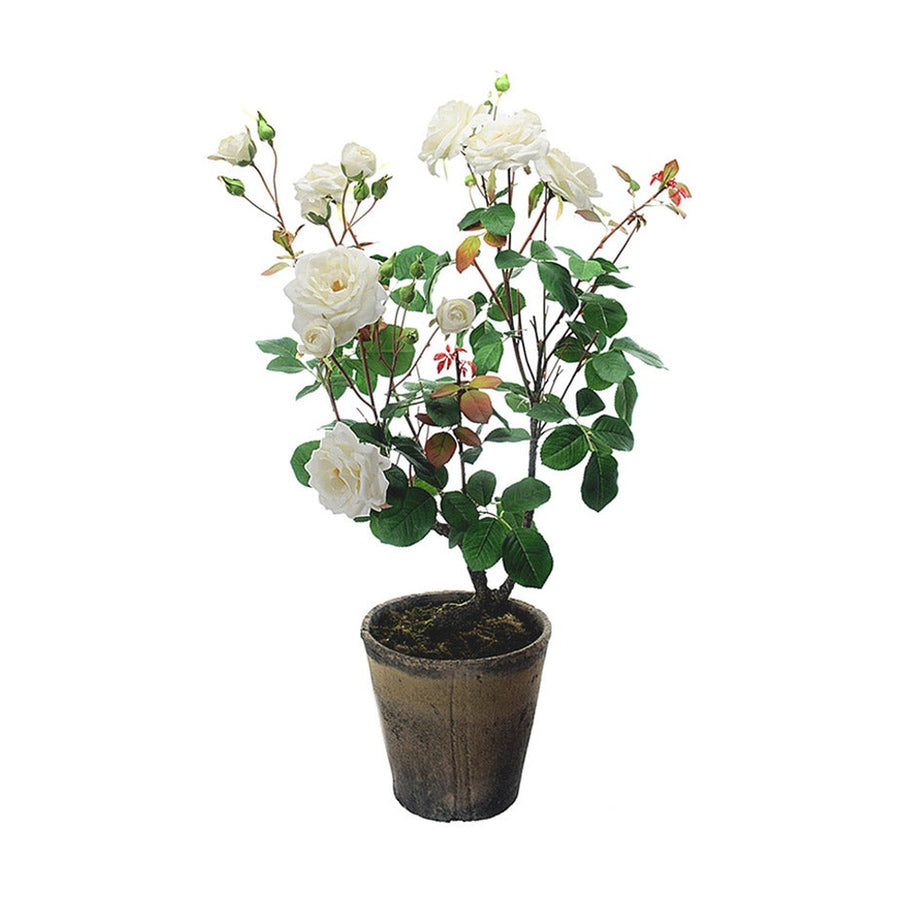 Prémium kategóriás, nagy méretű élethű rózsabokor vintage kaspóban