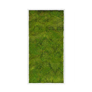 Valódi lapos mohából készült, 120 cm hosszú és 60 cm széles, fehér színű MDF keretbe foglalt, plasztikus növényfal panel, mohakép.