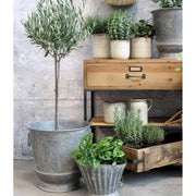 Natúr színű, loft stílusú 2 fiókos, 2 polcos konzolasztal, zöld növényekkel és kaspókkal.