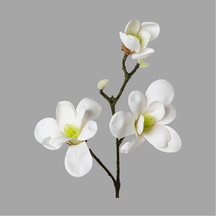 Fehér színű virágzattal és bimbokkal rendelkező, magnólia művirág.