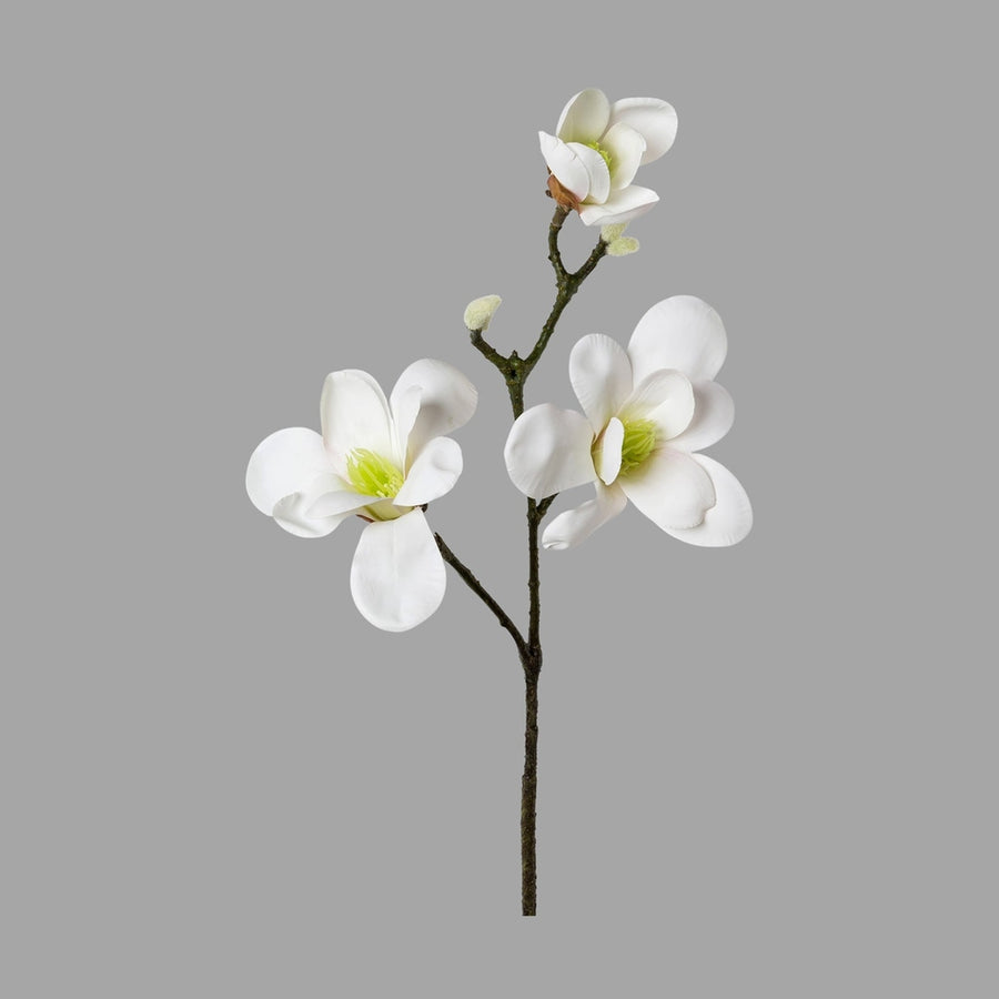 Fehér színű virágzattal és bimbokkal rendelkező, magnólia művirág.