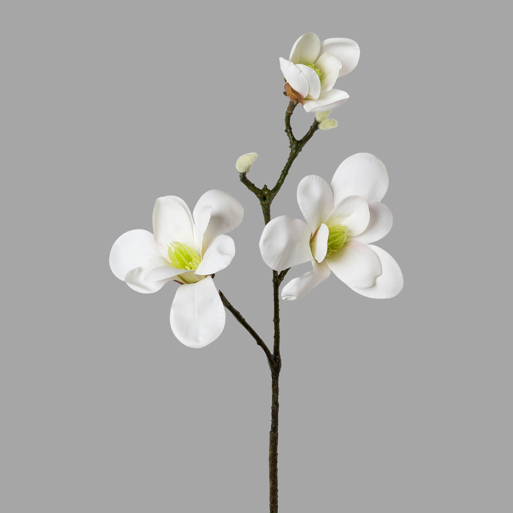 Fehér színű virágzattal és bimbokkal rendelkező, magnólia művirág.