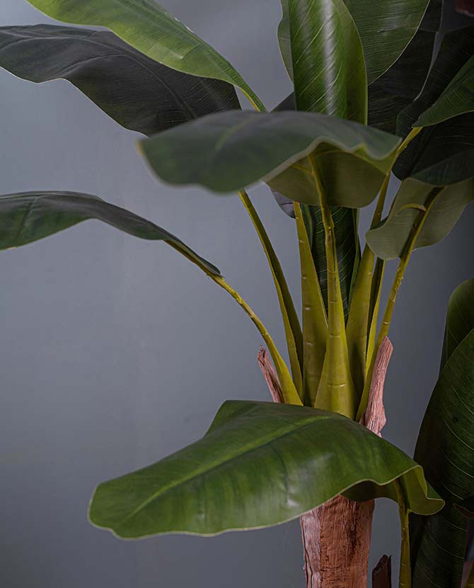 Élethű megjelenésű, fekete színű műanyag cserépbe helyezett banánfa műnövény.