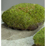 Dekorációs mű moha szivacs.