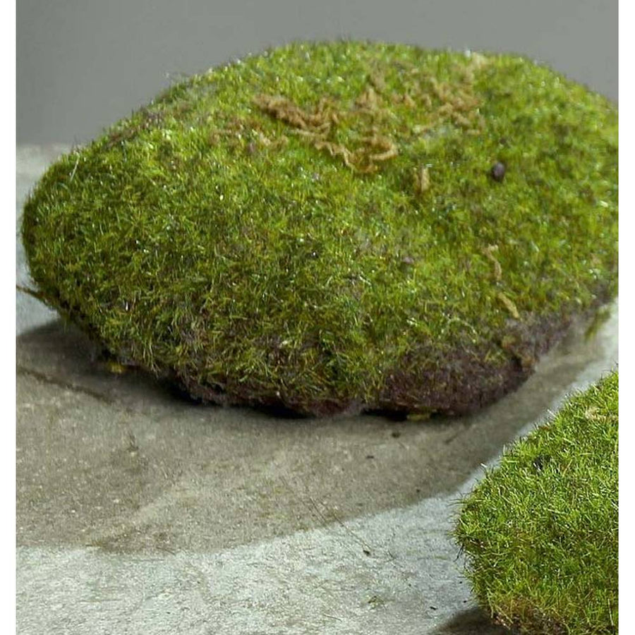 Dekorációs mű moha szivacs.