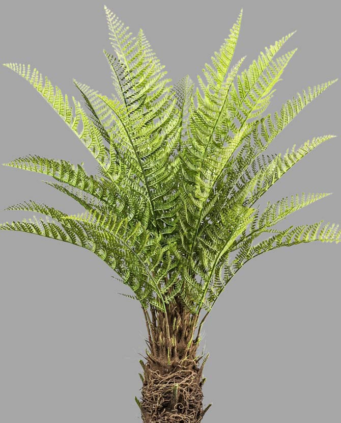 Mű dicksonia páfrányfa 160 cm zöld "Polypodiopsida"