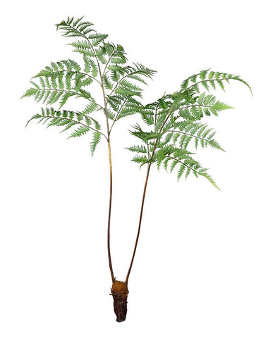 Óriás méretű, élethű megjelenésű, 105 cm magas, erdei pajzsika ág, páfrány műnövény.
