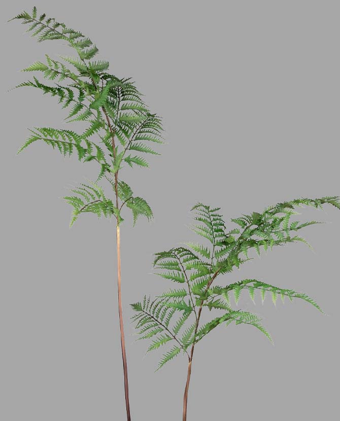 Óriás méretű, élethű megjelenésű, 150 cm magas, erdei pajzsika ág, páfrány műnövény.