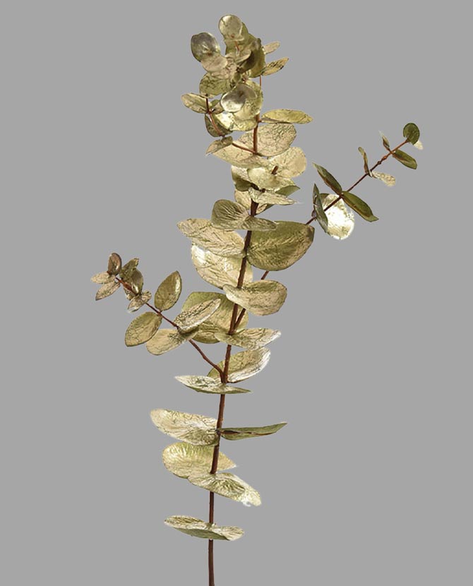 Fényes, aranyszínű levelekkel rendelkező dekor eukaliptusz ág műnövény.