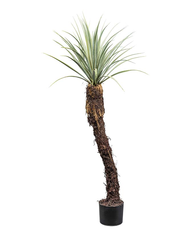 Mű jukka pálma 120 cm zöld "Yucca Rostrata"