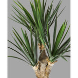 Mű jukka pálma 68 cm zöld "Yucca"