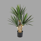 Mű jukka pálma 68 cm zöld "Yucca"