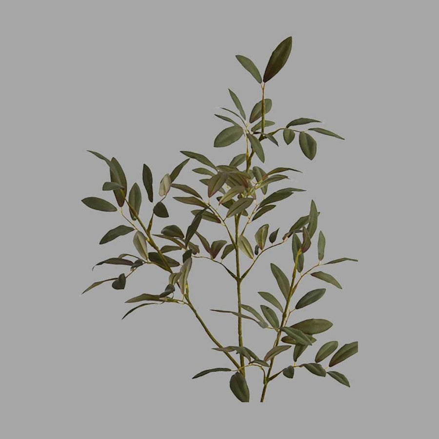 Fáradt zöld színű, olíva ág műnövény.