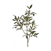 Fáradt zöld színű, olíva ág műnövény.
