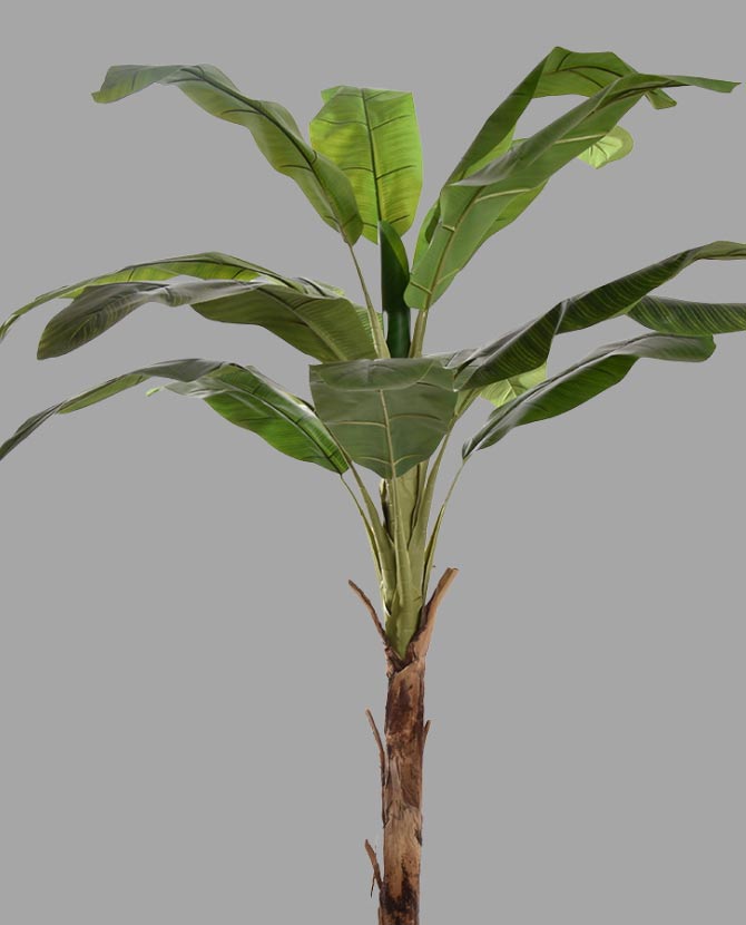 Élethű megjelenésű, fekete színű műanyag cserépbe helyezett banánfa műnövény.