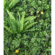 Mű növényfal panel 100 x 100 cm fű mix "Gramineae"