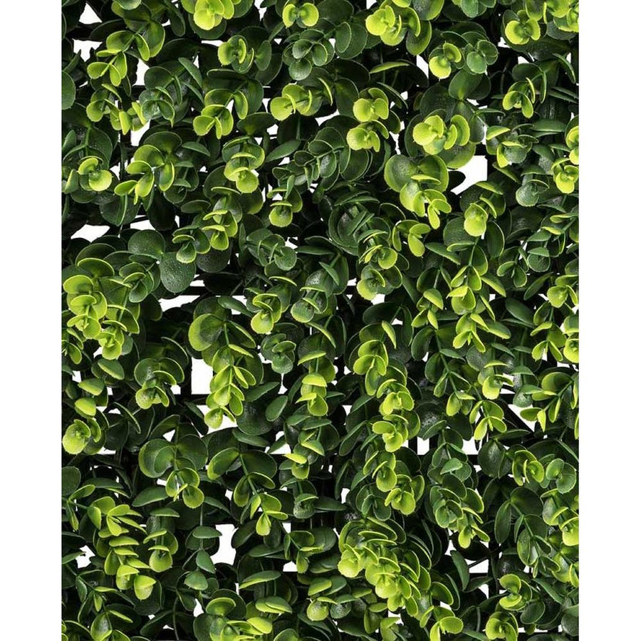 Mű eukaliptusz levelekből készült, 50 cm hosszú és 50 cm széles, mesterséges növényfal panel.