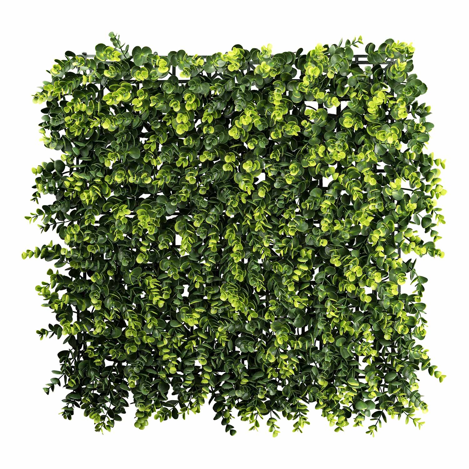 Mű eukaliptusz levelekből készült, 50 cm hosszú és 50 cm széles, mesterséges növényfal panel.