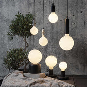 Matt felületű opál LED izzók szürke színű betonfal előtt, zöld növénnyel.