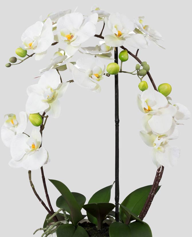 Fehér színű mű orchidea, kerámia kaspóban.