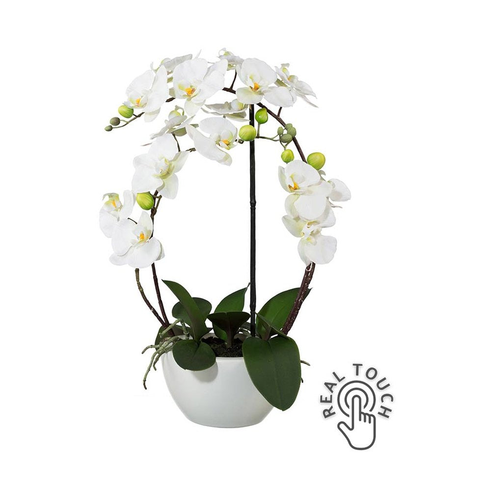 Fehér színű mű orchidea, kerámia kaspóban.