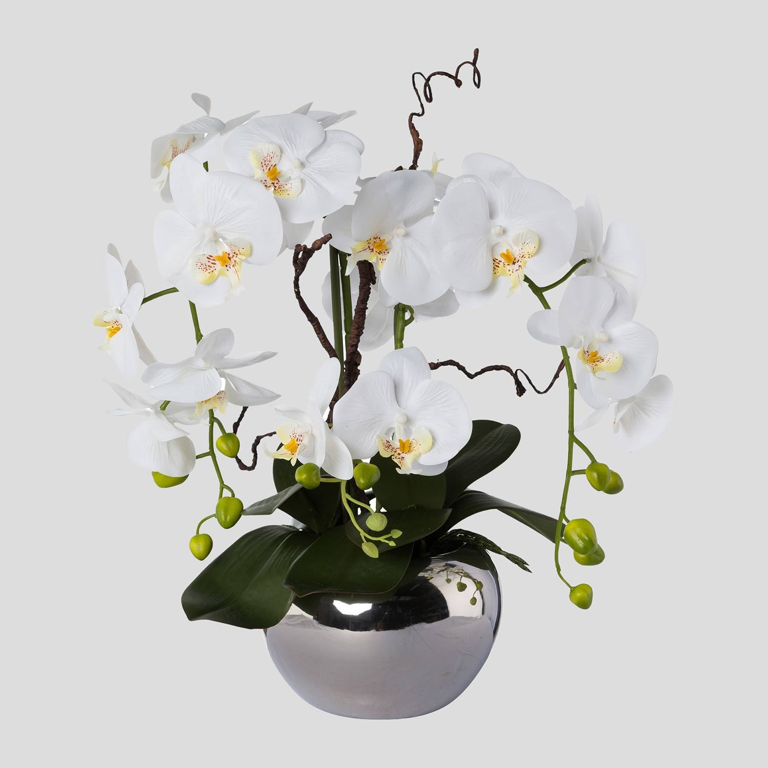 Fehér színű mű orchidea, ezüst színű fém kaspóban.