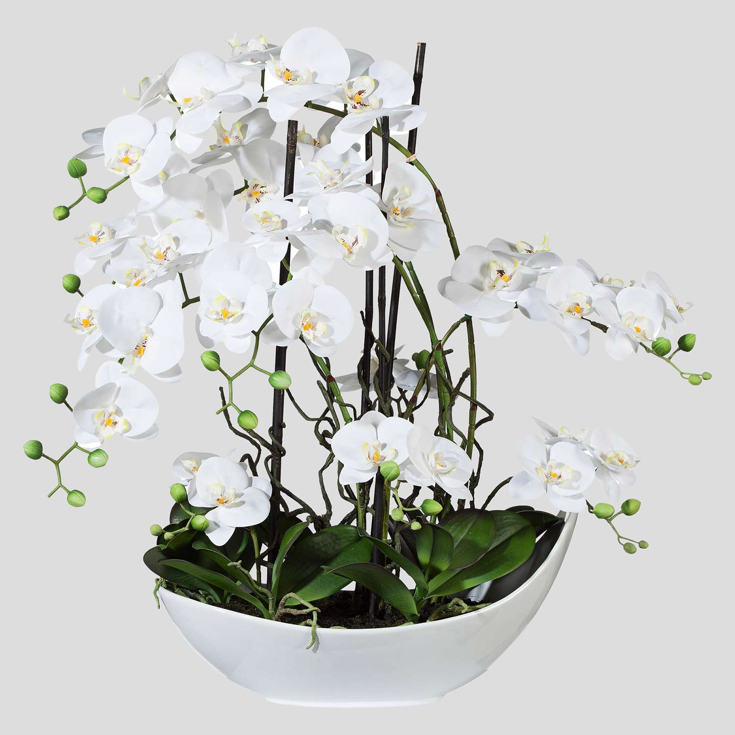Fehér színű mű orchidea, csónak formájú kerámia kaspóban.