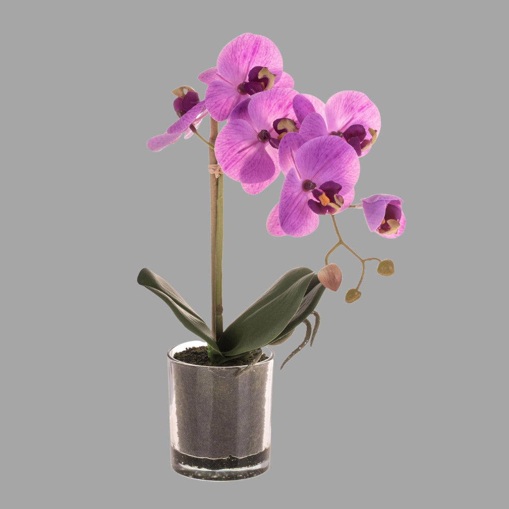 Lila színű mű orchidea, áttetsző üveg kaspóban.