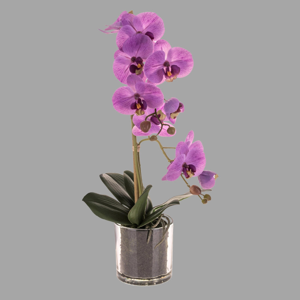 Lila színű mű orchidea, áttetsző üveg kaspóban.