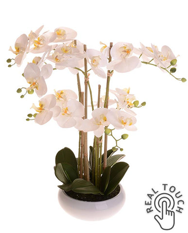 Fehér színű mű orchidea, kerámia kaspóban.