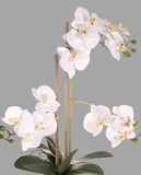 Fehér színű mű orchidea, áttetsző üveg kaspóban.