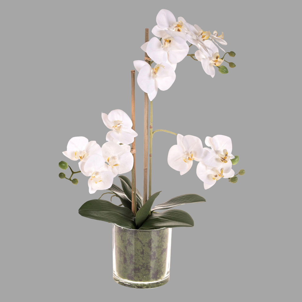 Fehér színű mű orchidea, áttetsző üveg kaspóban.