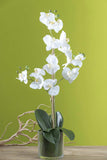 Fehér színű mű orchidea, áttetsző üveg kaspóban.