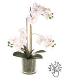 Fehér színű mű orchidea, áttetsző üveg kaspóban.