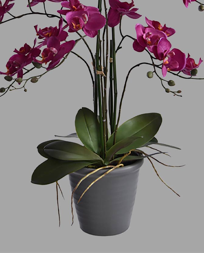 Bíbor színű mű orchidea, szürke kerámia kaspóban.