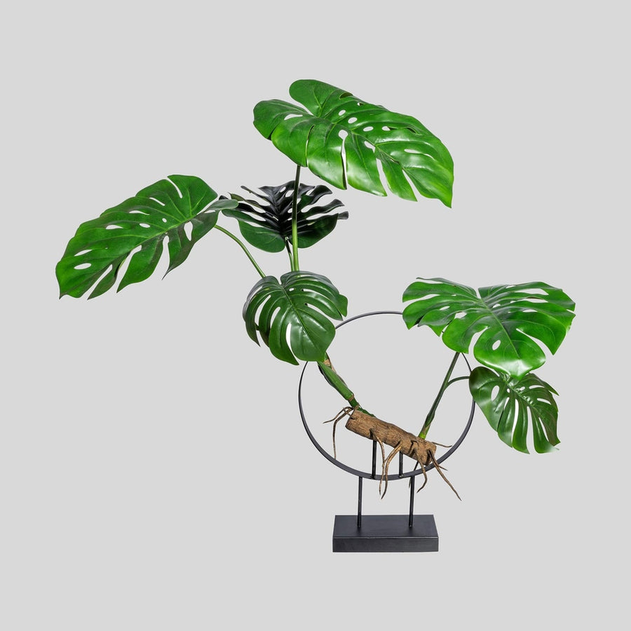 Exkluzív megjelenésű, modern, kortás stílusú, 100 cm magas, filodendron műnövény kompozíció.