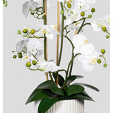 Fehér színű, cserepes mű orchidea, fehér színű kerámia kaspóban.