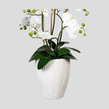 Fehér színű, cserepes mű orchidea, fehér színű kerámia kaspóban.