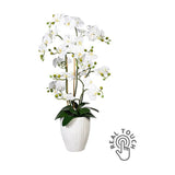 Fehér színű, cserepes  mű orchidea, fehér színű kerámia kaspóban.