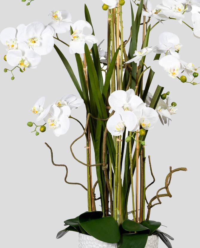 Fehér színű, cserepes mű orchidea, fehér színű kerámia kaspóban.