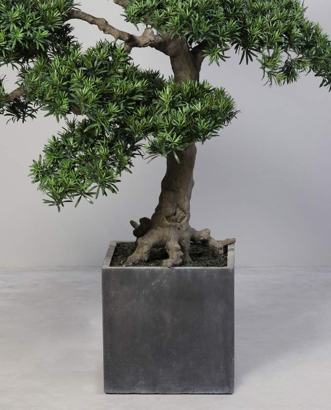 Exkluzív megjelenésű, prémium minőségű, élethű "Real Touch" hatású, óriás méretű, 165 cm magas mesterséges mű bonszai fa szürke színű modern agyagcserépben