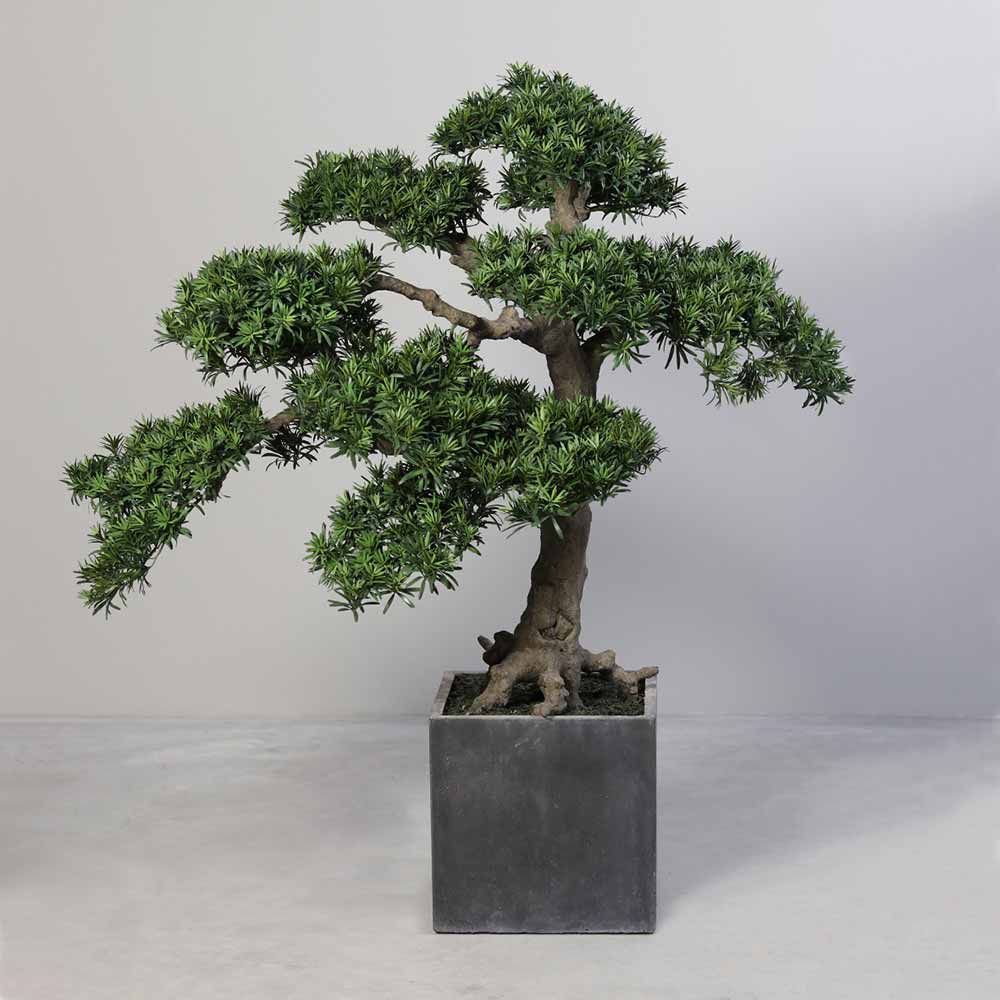 165 cm magas élethű podocarpus mesterséges bonsai fa.