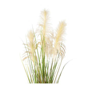 Krém színű bugákkal rendelkező, mű pampafű, fekete műanyag kaspóban.