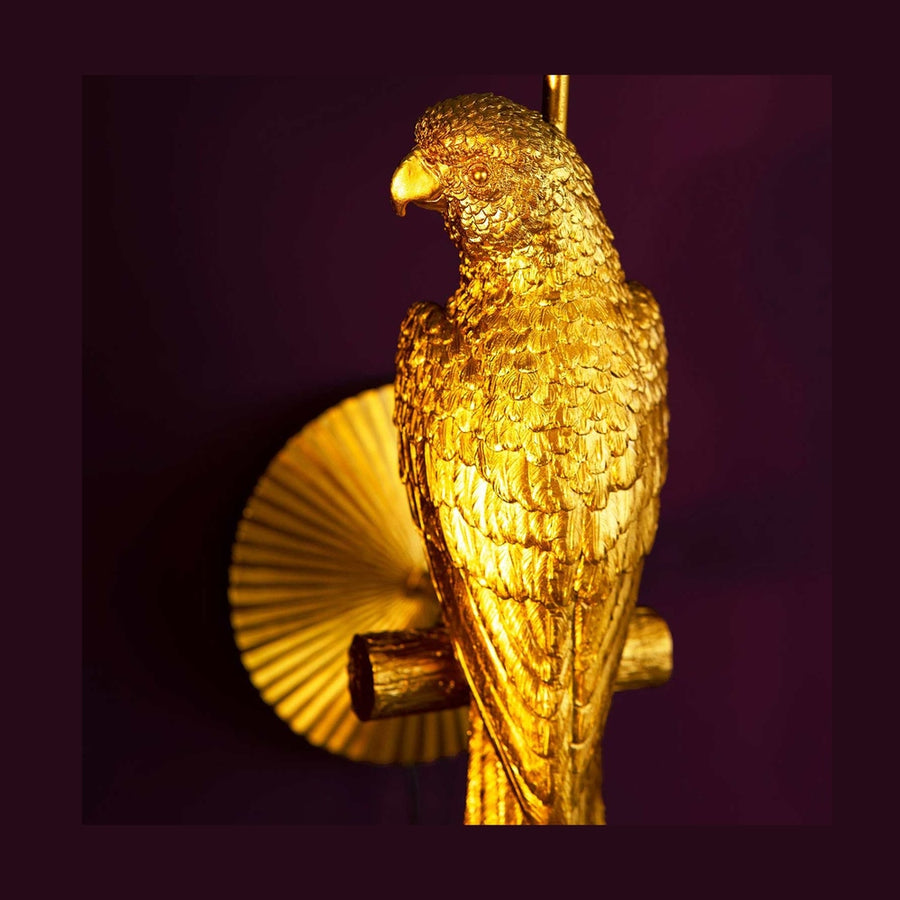 Aranyszínű papagáj, lila háttér előtt. 