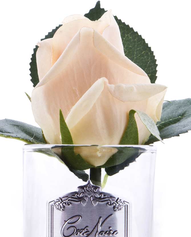 Prémium minőségű, barack színű, rózsa illatú parfümös bimbós rózsafej díszdobozban